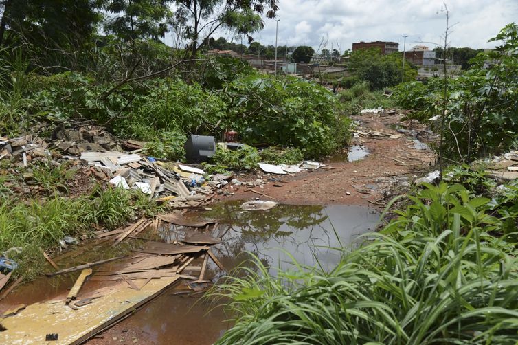 UnB faz pesquisas para controlar Aedes aegypti
