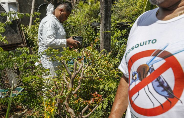 Brasil concentra quase 70% dos casos de dengue da AL e Caribe