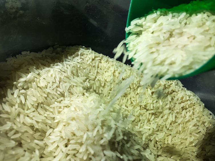 Brasil vai importar arroz para evitar especulação de preços