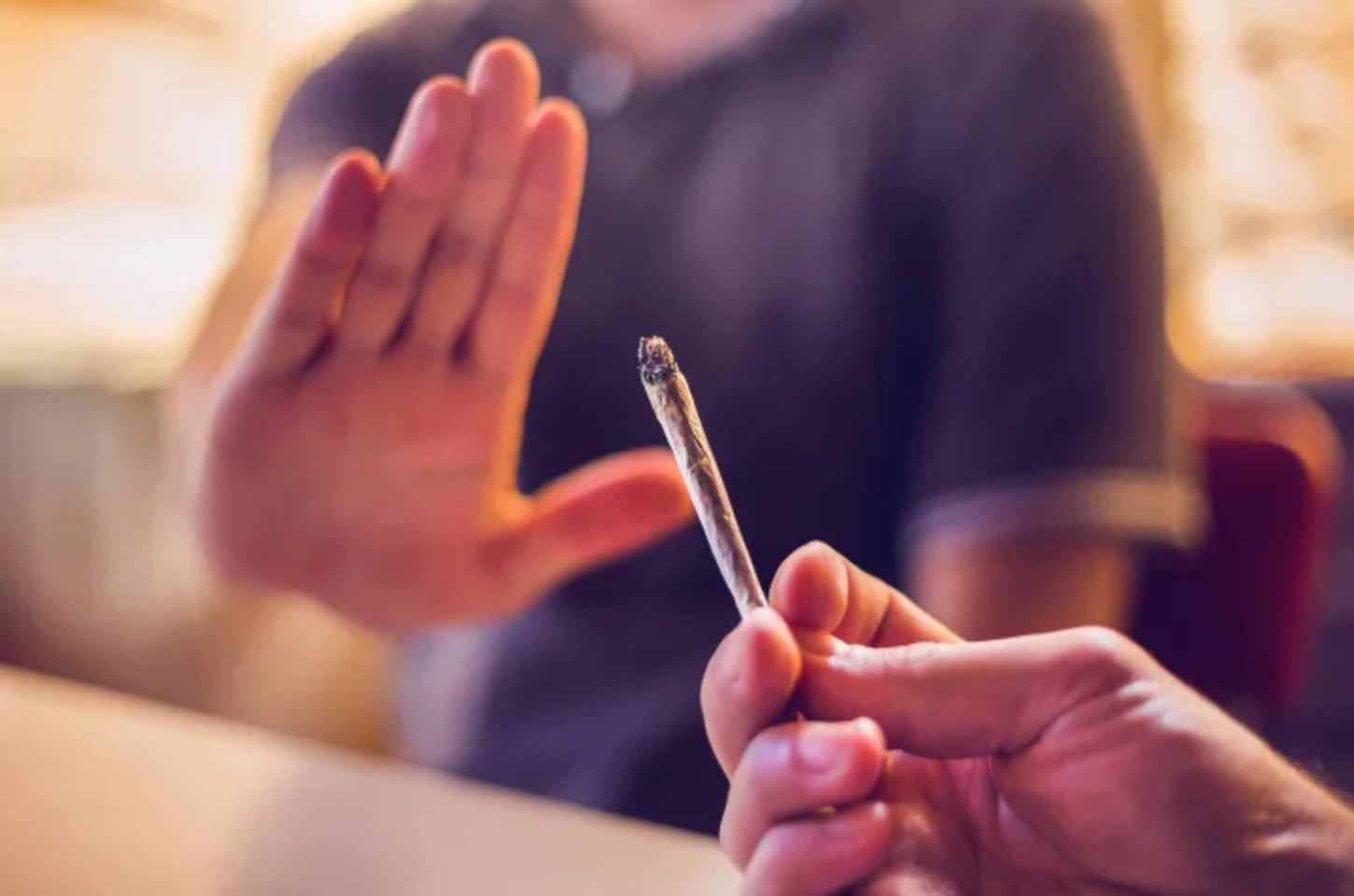 Como a maconha afeta nossa cognição e psicologia, segundo estudos