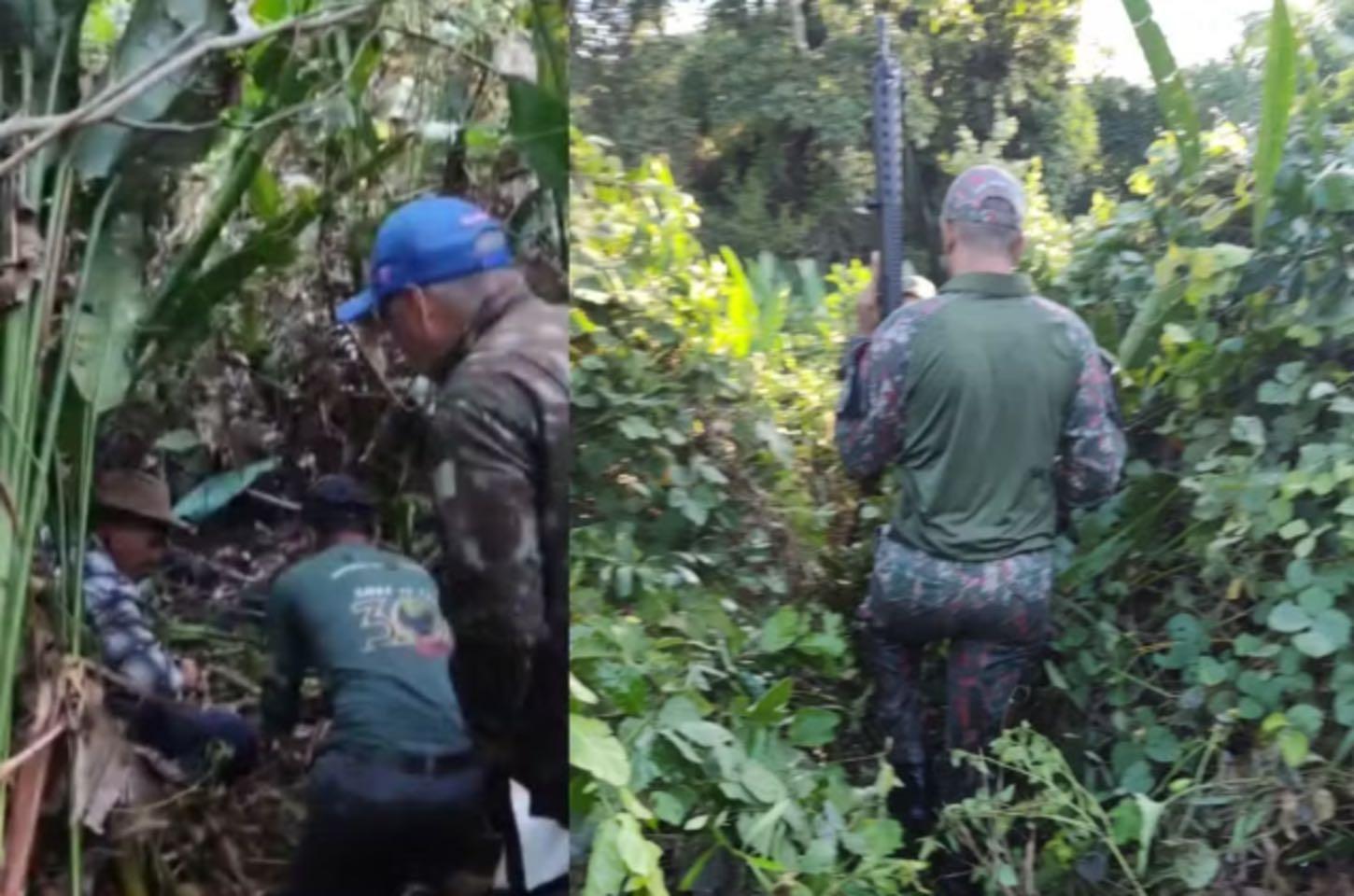 Onça mata e devora caseiro idoso em Mato Grosso do Sul
