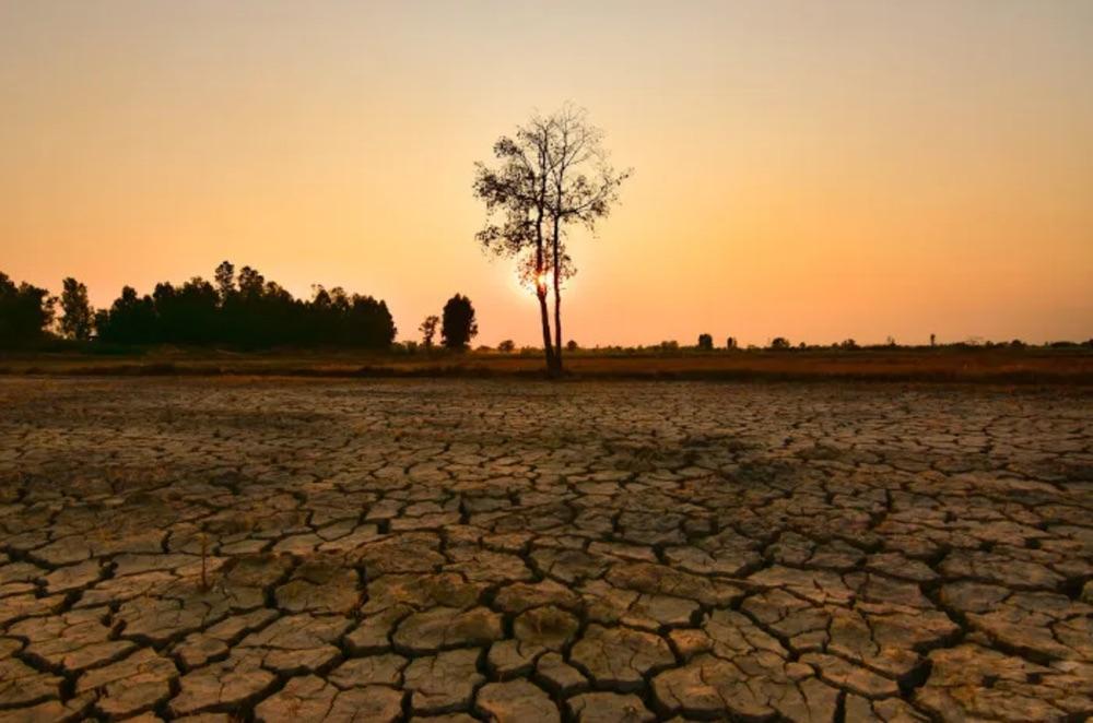 Super El Niño de 2026 joga mais pressão na inflação de alimentos e no agro
